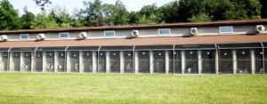Luxemburg Pet Hotel kennels with dogs inside.
